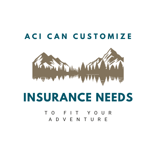 ACI customize-2